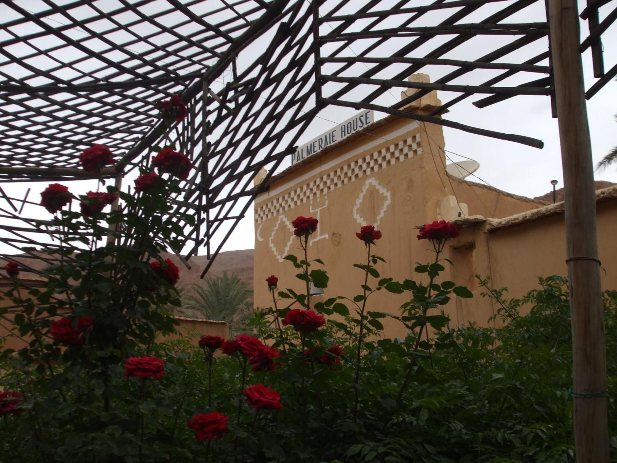 Palmeraie Guest House Tinghir Εξωτερικό φωτογραφία
