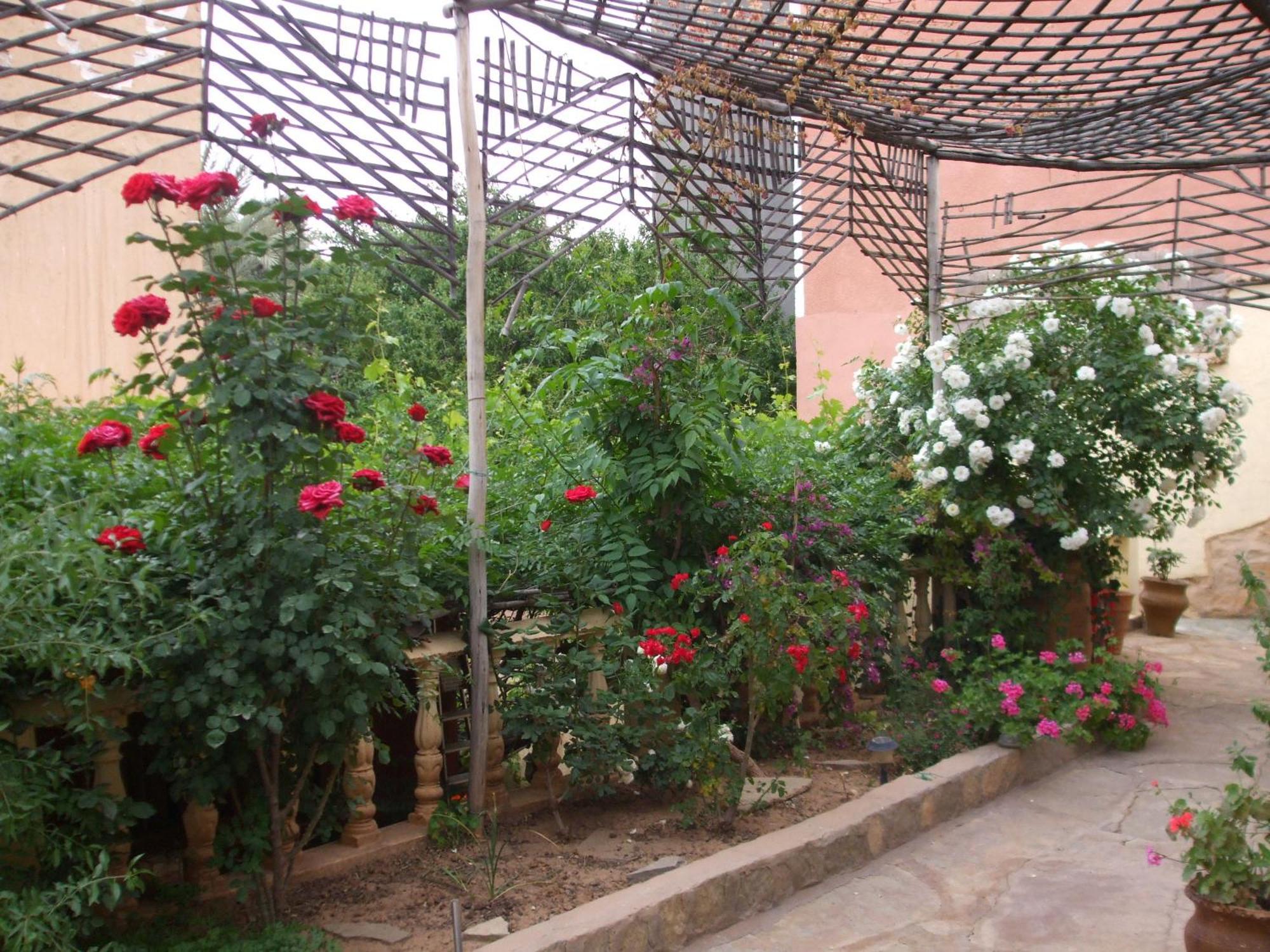 Palmeraie Guest House Tinghir Εξωτερικό φωτογραφία